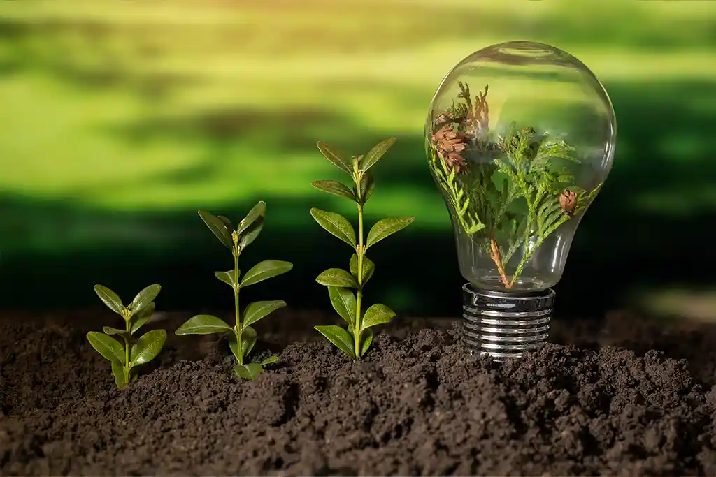 Soluções sustentáveis da Ndawas Green